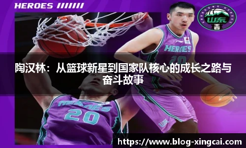 陶汉林：从篮球新星到国家队核心的成长之路与奋斗故事